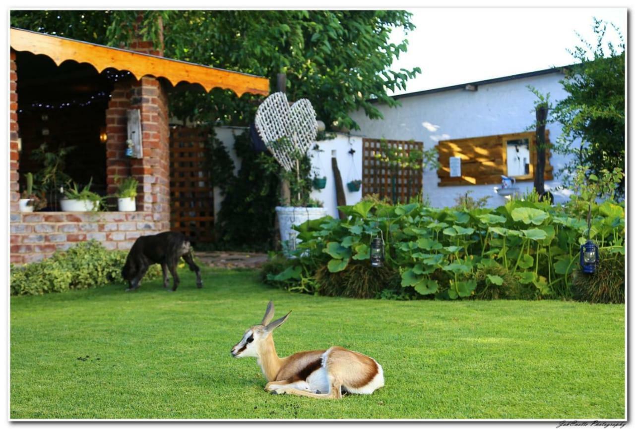 Tortelduif Cottage Offthegrid Middelburg  Exterior photo